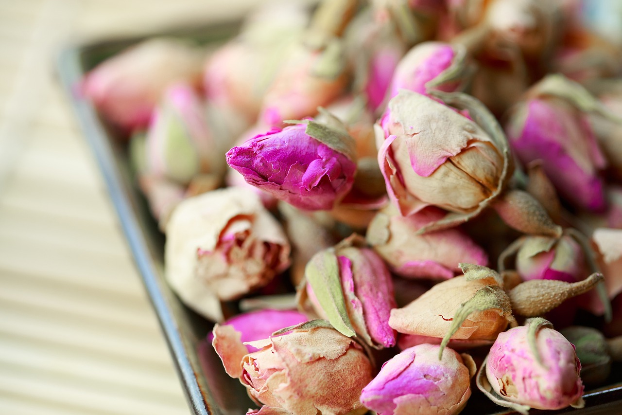 Rose buds